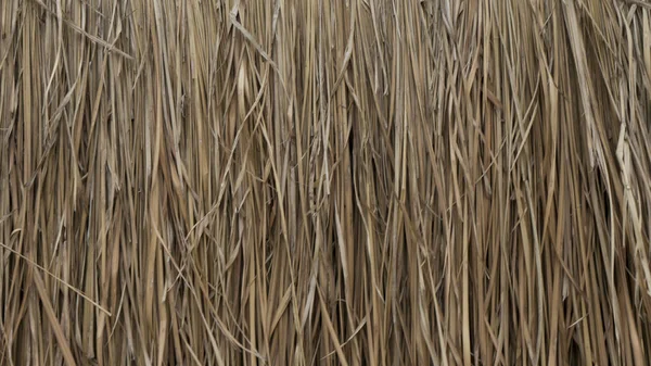 Reklam ve tasarım oluşturmada yardımcı olur arka plan.