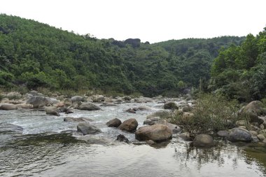 Vietnam swamped nehir dağ