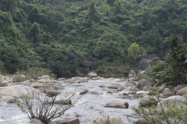 Vietnam swamped nehir dağ