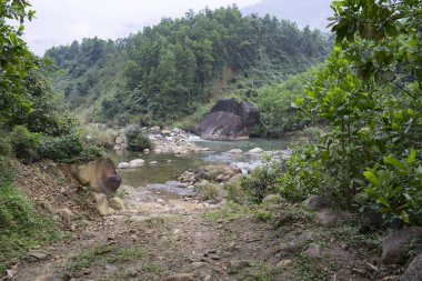 Vietnam swamped nehir dağ