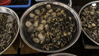 Farklı balıklar, istiridye, yengeç, köpekbalıkları ve diğerleri ile Vietnam seafoodmarket deniz yaratıkları. Vietnam'da egzotik yiyecek satın almak isteyen turistler için harika bir yer. Asya okyanus hediyeler.