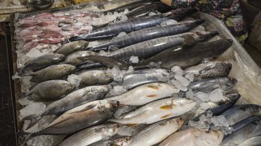 Farklı balıklar, istiridye, yengeç, köpekbalıkları ve diğerleri ile Vietnam seafoodmarket deniz yaratıkları. Vietnam'da egzotik yiyecek satın almak isteyen turistler için harika bir yer. Asya okyanus hediyeler.