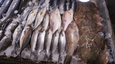 Farklı balıklar, istiridye, yengeç, köpekbalıkları ve diğerleri ile Vietnam seafoodmarket deniz yaratıkları. Vietnam'da egzotik yiyecek satın almak isteyen turistler için harika bir yer. Asya okyanus hediyeler.