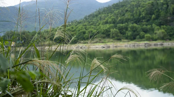 Danang şehrini gölde.