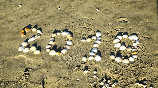 Petit Oiseau Sur Le Bord De Mer Photographie Photocech