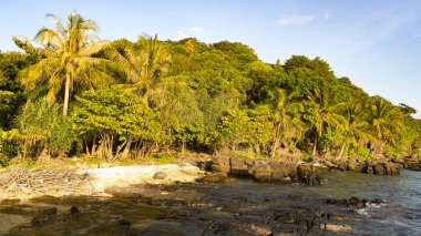 Phu Quoc Adası birçok avuç içi, kayalar ve beyaz kum, seyahat kavramı beutiful Vietnamca kumsalda