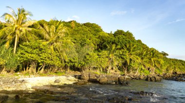 Phu Quoc Adası birçok avuç içi, kayalar ve beyaz kum, seyahat kavramı beutiful Vietnamca kumsalda
