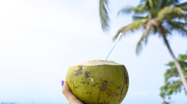 Hindistan cevizi Hindistan cevizi, bacaklar ve kristal berrak denizi ve avuç içi ile güzel beyaz kum seyahat kavramı arka plan olarak denizde Phu Quoc Adası yaz tatil günlerinde yandan