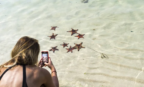 Fille Prendre Une Photo Étoiles Mer Sur Île Phu Quoc — Photo