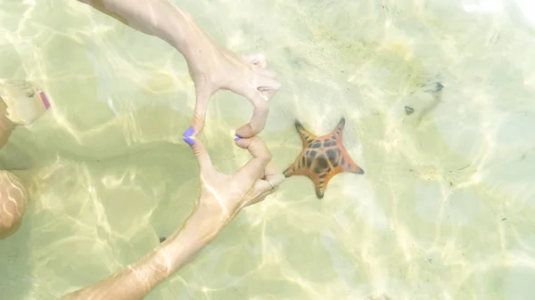 Starfishes Ostrově Phu Quoc Krásné Červené Hvězdice Křišťálově Čisté Moře — Stock fotografie