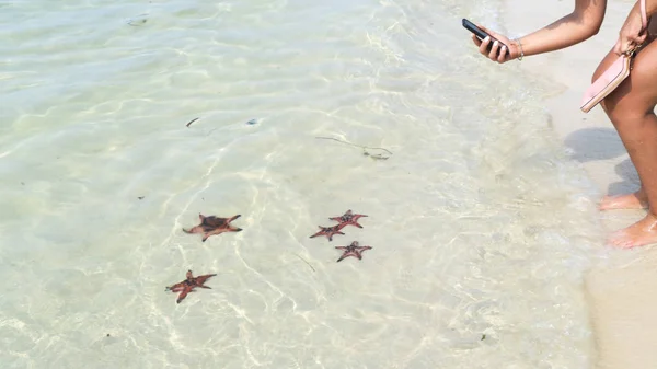 Starfishes Ostrově Phu Quoc Krásné Červené Hvězdice Křišťálově Čisté Moře — Stock fotografie