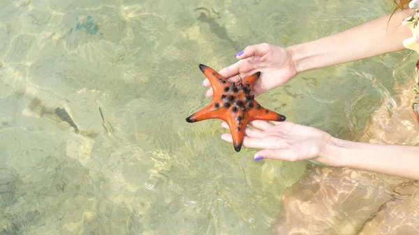 Fille Tenant Les Étoiles Mer Sur Les Mains Bikini Sur — Photo