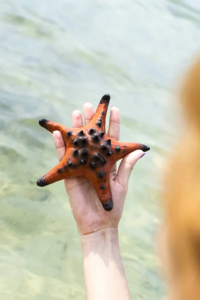 Girl Holding Starfishes Hands Bikini Phu Quoc Island Beautiful Red — Stock Photo, Image