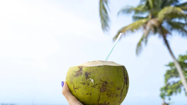 椰子在暑假在富国岛与椰子 腿和海在美丽的白色沙子与水晶般清澈的大海和棕榈树作为旅行概念背景 — 图库照片