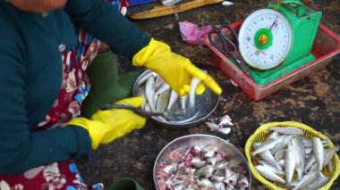 Vietnamlı kadınları Phu Quoc Vietnam deniz ürünleri pazarında sokak, Asya Lifestyle ham büyük balık ölçekleme