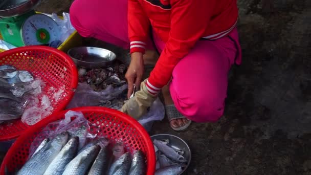 Las Mujeres Vietnamitas Está Escalando Pez Grande Crudo Mercado Mariscos — Vídeos de Stock