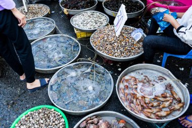 Taze deniz ürünleri Assortament. Phu Quoc Vietnam için piyasada deniz ürünleri Restoran güzel kabukları farklı türleri