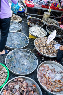 Taze deniz ürünleri Assortament. Phu Quoc Vietnam için piyasada deniz ürünleri Restoran güzel kabukları farklı türleri
