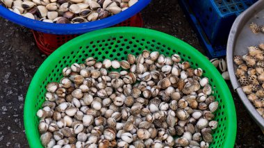  Taze deniz ürünleri Assortament. Phu Quoc Vietnam için piyasada deniz ürünleri Restoran güzel kabukları farklı türleri