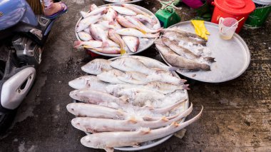 Ham küçük beyaz köpekbalıkları Phu Quoc Vietnam yerel pazarda deniz ürünleri piyasada