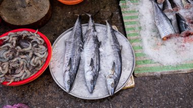 Taze gümüş balıklar o Vietnam Phu quoc Adası Deniz ürünleri Tabaklarda Pazar