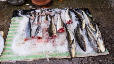 Taze gümüş balıklar o Vietnam Phu quoc Adası Deniz ürünleri Tabaklarda Pazar