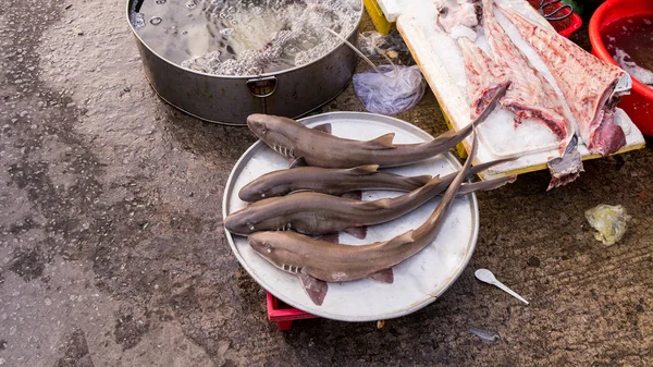 Raw Small Dark Sharks Seafood Market Local Vietnamese Market Phu — Stock Photo, Image