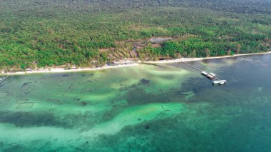  Güzel hava manzara plaj denizyıldızı Phu Quoc Adası Deniz, beyaz kum plaj ve avuç içi, turistik kavramı ile