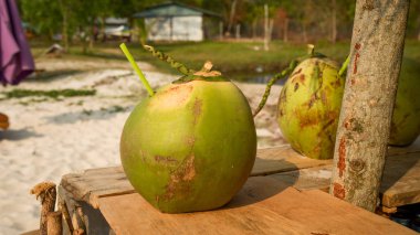  Hindistan cevizi Hindistan cevizi, bacaklar ve kristal berrak denizi ve avuç içi ile güzel beyaz kum seyahat kavramı arka plan olarak denizde Phu Quoc Adası yaz tatil günlerinde yandan