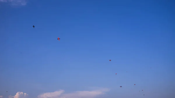 Aquiloni Colorati Che Volano Nel Cielo Durante Festival — Foto Stock