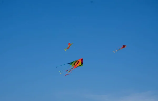 节日期间在天空中飞翔的五颜六色的风筝 — 图库照片