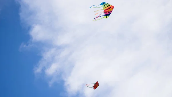 祭りの間に空を飛ぶカラフルな凧 — ストック写真
