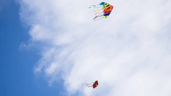 Bunte Drachen Fliegen Während Eines Festivals Den Himmel — Stockfoto