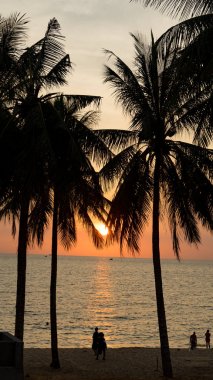 Cennet tropikal Phu Quoc ada plaj Manzara, gün batımı atış