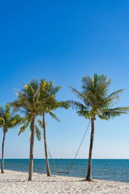 Phu Quoc plaj Vietnam'da Palmiye ağacı halat salıncak. Manzara görünümü tropikal plaj avuç içi