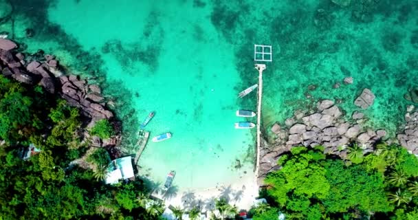 플라이 Nhn에 야자수와 물이있는 아름다운 해변의 — 비디오