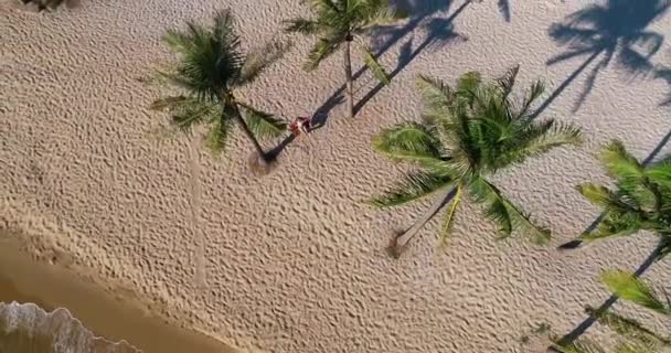 Drone shot aerial view of young women swinging at tropical sandy beach with funny emotions, in slow motion . Shot in the Vietnam, 4K resolution video. People travel vacations concept — Stock Footage Drone Shot Aerial View Young Women Swinging Tropical Sandy Beach Stock Video