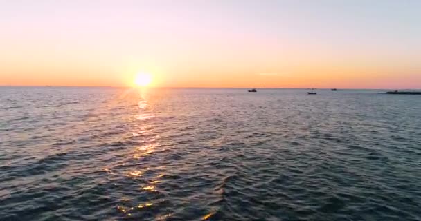 Drone Shot Vue Aérienne Jeunes Femmes Balançant Plage Sable Tropical — Video