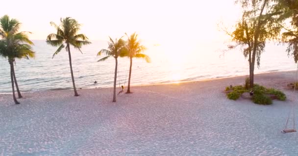 Drone Shot Vue Aérienne Jeunes Femmes Balançant Plage Sable Tropical — Video