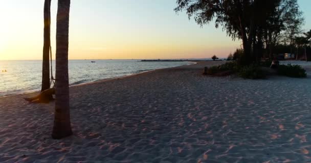 Drone Disparó Vista Aérea Mujeres Jóvenes Balanceándose Playa Arena Tropical — Vídeos de Stock