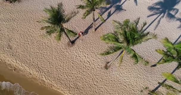 Drone Disparó Vista Aérea Mujeres Jóvenes Balanceándose Playa Arena Tropical — Vídeos de Stock