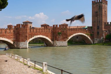 Verona, Castelvecchio'yu, sanat, tarih ve doğa için dünyanın ünlü İtalya daki