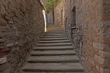 Yolcu Konsolosu Trasimeno, Umbria, İtalya