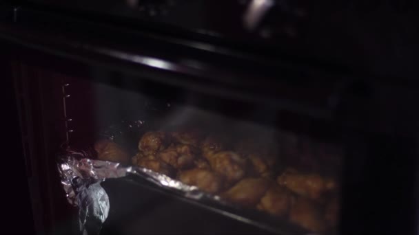 Ama Casa Mujer Prepara Comida Horno — Vídeos de Stock