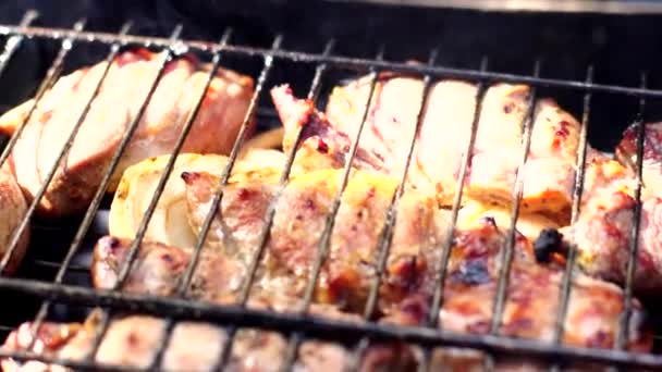 Close Grilled Meat Summer Time — Stock Video