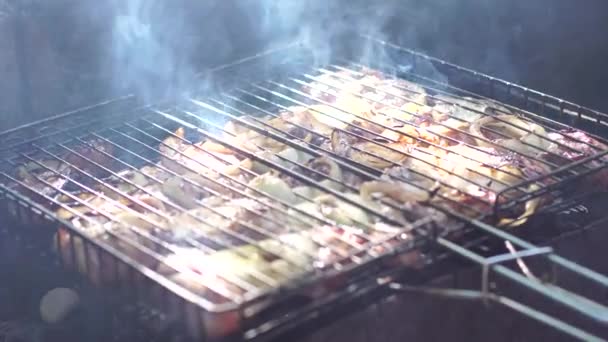 Close Grilled Meat Summer Time — Stock Video