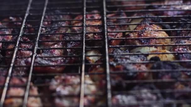 Close Grilled Meat Summer Time — Stock Video