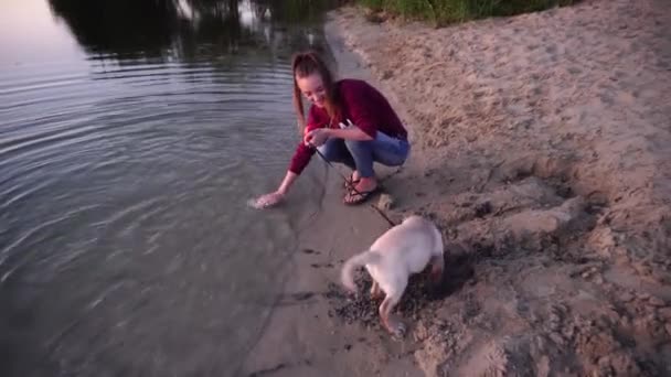 Porträtt Liten Lekfull Hund Labrador Stranden — Stockvideo