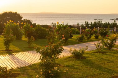 Güzellik sıcak akşam deniz scape