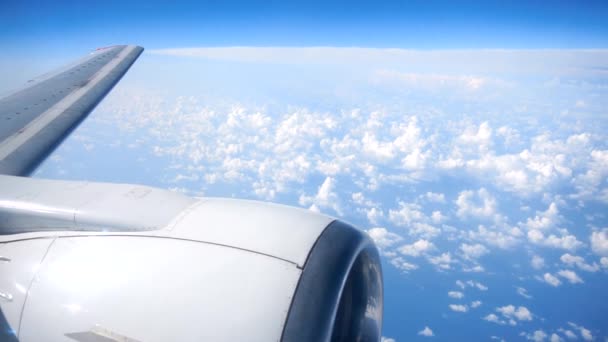 蓝天和云彩从鸟飞行的高度 — 图库视频影像